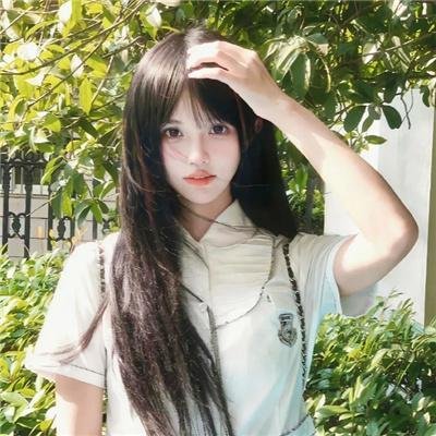 我的狗是杀手